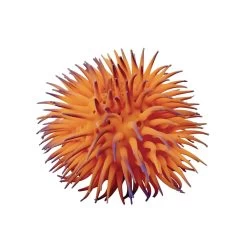 Excellerations® Responsibility Book Set With Fidgets -Children School Supplies S1086957 4