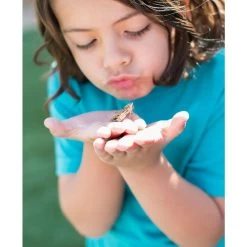 Butterfly Garden -Children School Supplies S285594 12