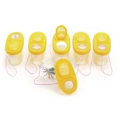 Excellerations® Bug Observation Boxes - Set Of 6