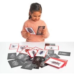 Bug X-Rays And Photo Cards - Set Of 72 -Children School Supplies S320984 1