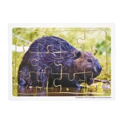 Excellerations® Animals In Their Biomes Puzzles - Set Of 8 13 Excellerations® Animals In Their Biomes Puzzles - Set Of 8 -Children School Supplies S428228 1