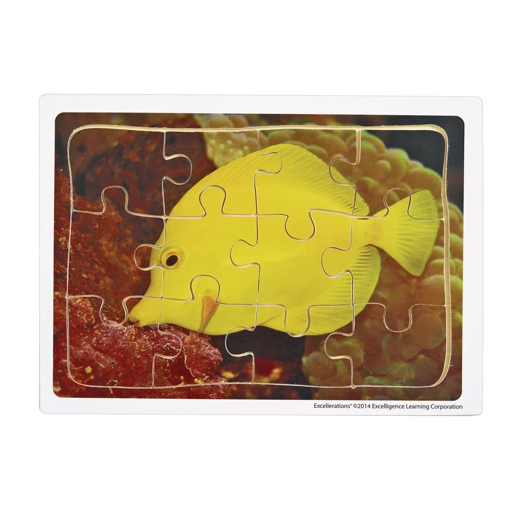 Excellerations® Animals In Their Biomes Puzzles - Set Of 8 5 Excellerations® Animals In Their Biomes Puzzles - Set Of 8 - Image 5