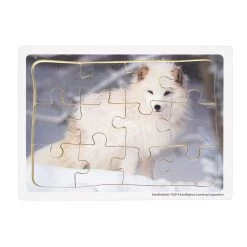 Excellerations® Animals In Their Biomes Puzzles - Set Of 8 16 Excellerations® Animals In Their Biomes Puzzles - Set Of 8 -Children School Supplies S428228 4