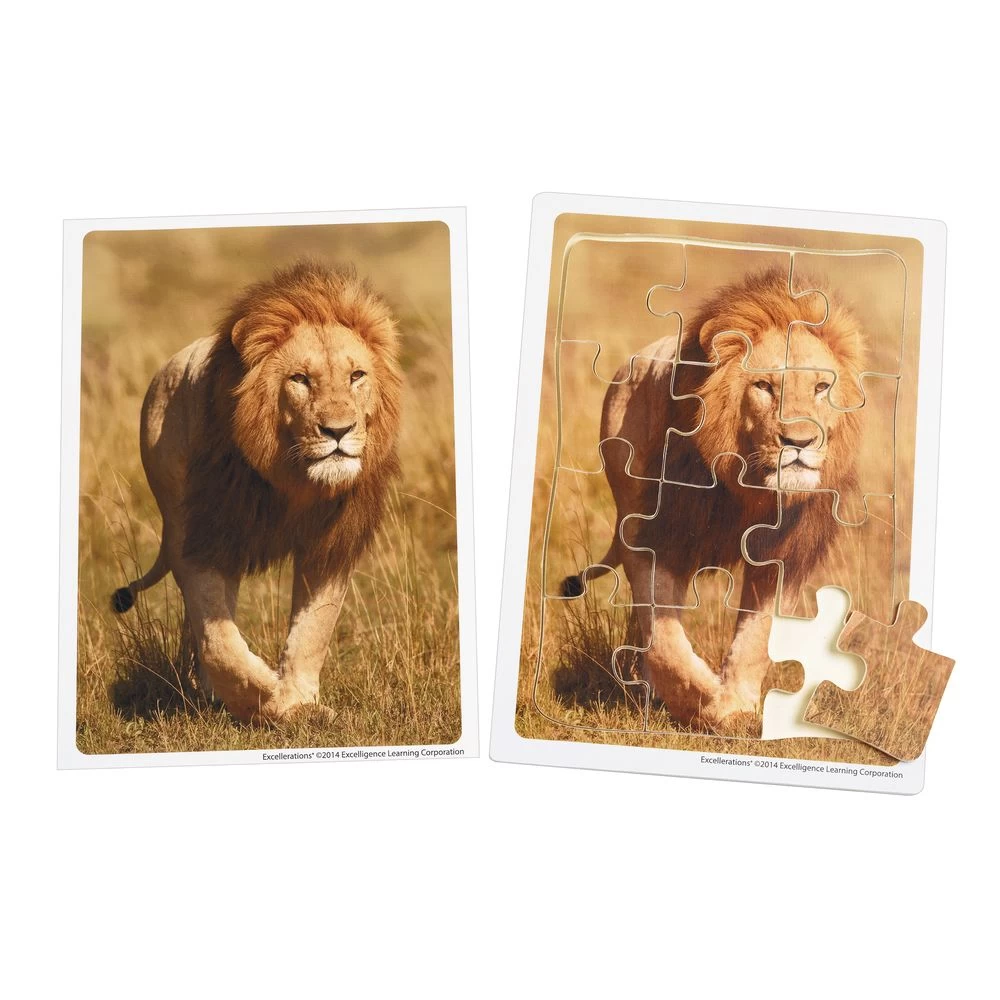 Excellerations® Animals In Their Biomes Puzzles - Set Of 8 8 Excellerations® Animals In Their Biomes Puzzles - Set Of 8 - Image 8