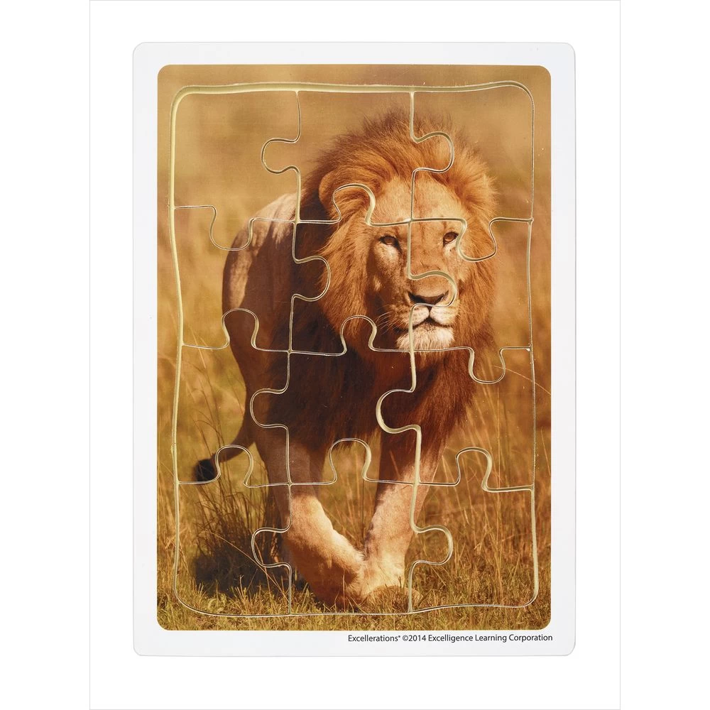 Excellerations® Animals In Their Biomes Puzzles - Set Of 8 9 Excellerations® Animals In Their Biomes Puzzles - Set Of 8 - Image 9