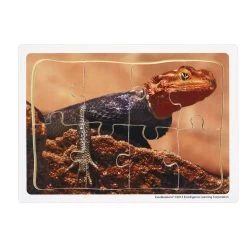 Excellerations® Animals In Their Biomes Puzzles - Set Of 8 20 Excellerations® Animals In Their Biomes Puzzles - Set Of 8 -Children School Supplies S428228 8