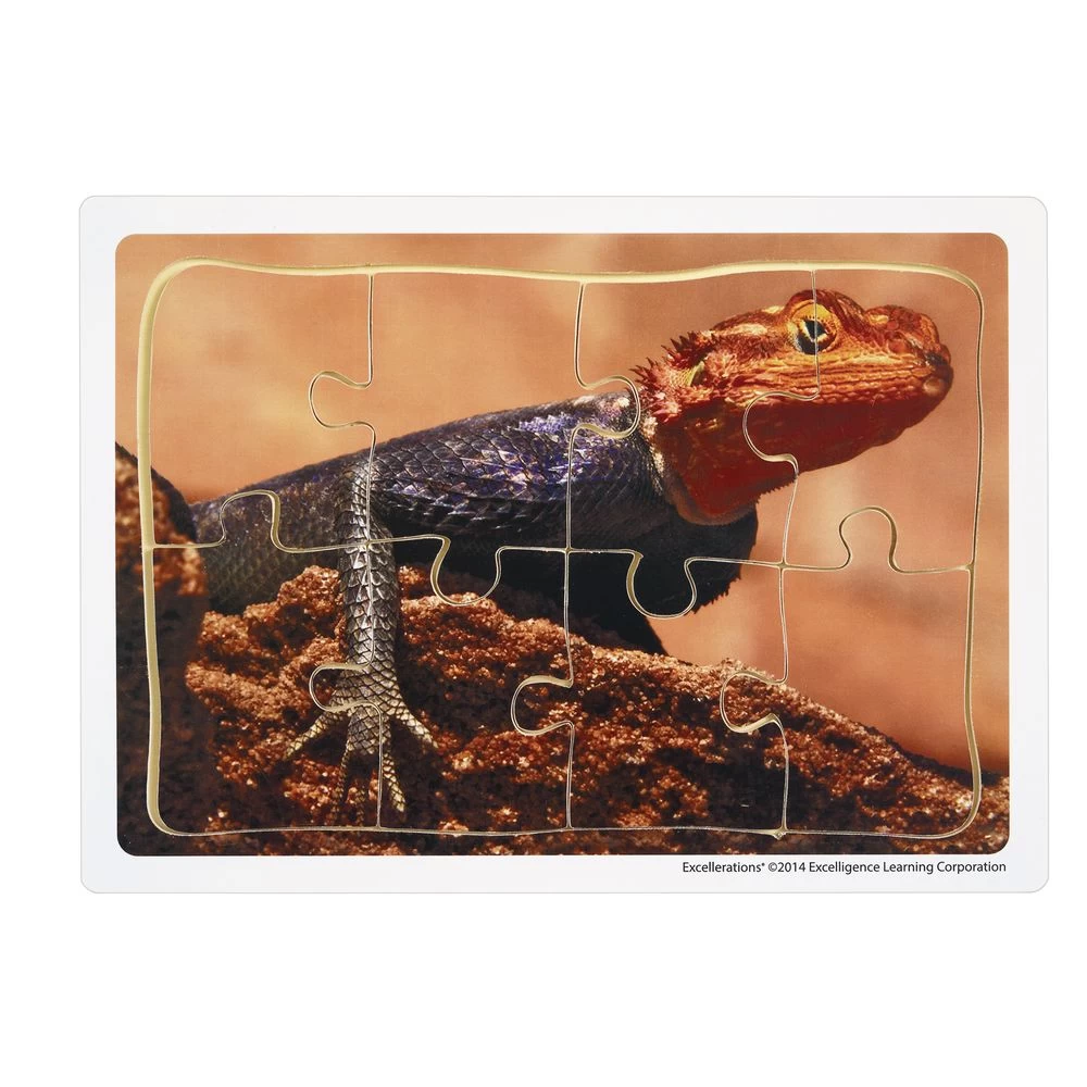 Excellerations® Animals In Their Biomes Puzzles - Set Of 8 10 Excellerations® Animals In Their Biomes Puzzles - Set Of 8 - Image 10