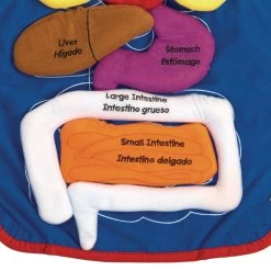 Excellerations® Organ Apron -Children School Supplies S475262 1