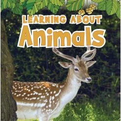 Science Vocabulary Paperback Books - 4 Titles -Children School Supplies S544218 1