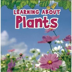 Science Vocabulary Paperback Books - 4 Titles -Children School Supplies S544218 3