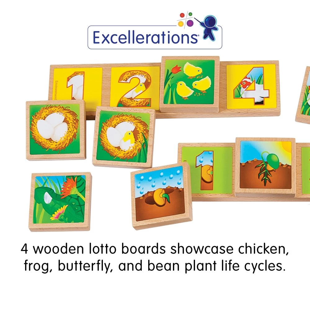 Excellerations® EarlySTEM™ Life Cycles Sequencing Lotto 2 Excellerations® EarlySTEM™ Life Cycles Sequencing Lotto - Image 2