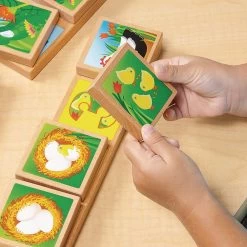 Excellerations® EarlySTEM™ Life Cycles Sequencing Lotto 7 Excellerations® EarlySTEM™ Life Cycles Sequencing Lotto -Children School Supplies S545341 2