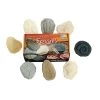 Fossil Stones - Set Of 8