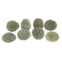 Woodland Animal Footprint Stones