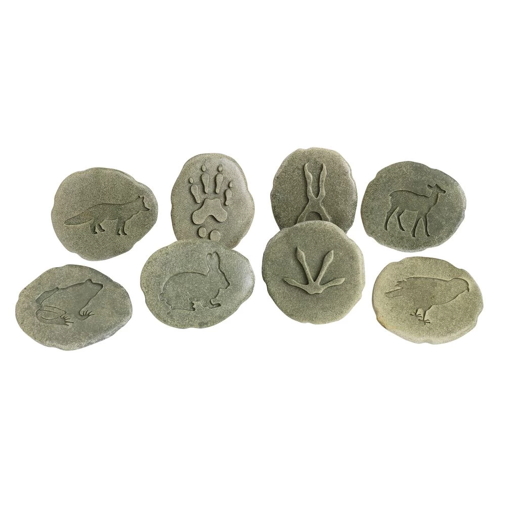 Woodland Animal Footprint Stones 1 Woodland Animal Footprint Stones