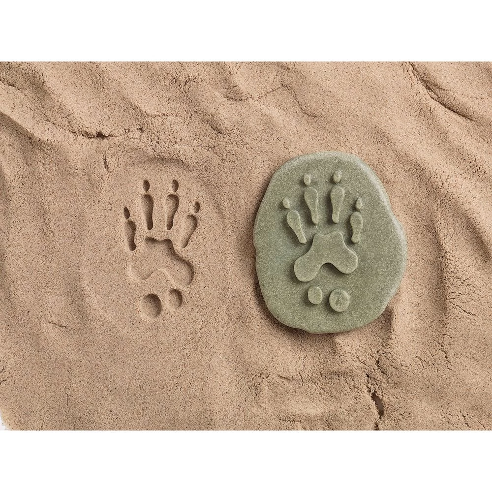 Woodland Animal Footprint Stones 2 Woodland Animal Footprint Stones - Image 2