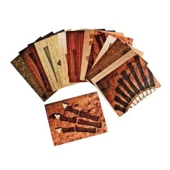 Match & Measure Dino Bone Cards