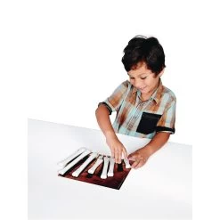 Dinosaur Bones Match & Measure Set