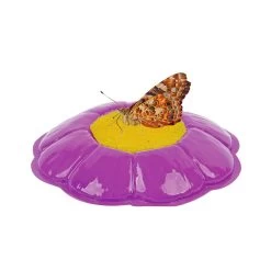 Butterfly Garden Classroom Set -Children School Supplies S624418 4