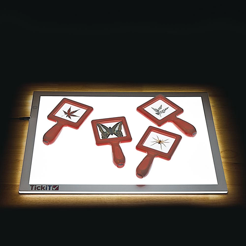 Excellerations® EarlySTEM™ Toddler Specimen Viewers - Set Of 4 3 Excellerations® EarlySTEM™ Toddler Specimen Viewers - Set Of 4 - Image 3