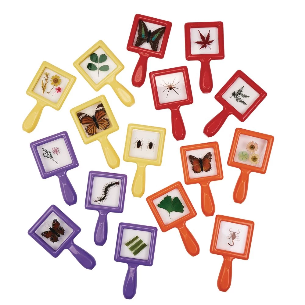 Excellerations® EarlySTEM™ Toddler Specimen Viewers - Set Of 16 1 Excellerations® EarlySTEM™ Toddler Specimen Viewers - Set Of 16