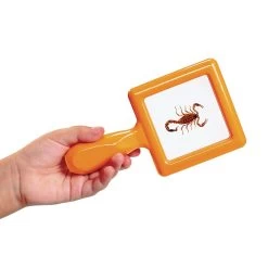 Excellerations® EarlySTEM™ Toddler Specimen Viewers - Set Of 16 31 Excellerations® EarlySTEM™ Toddler Specimen Viewers - Set Of 16 -Children School Supplies S631520 10