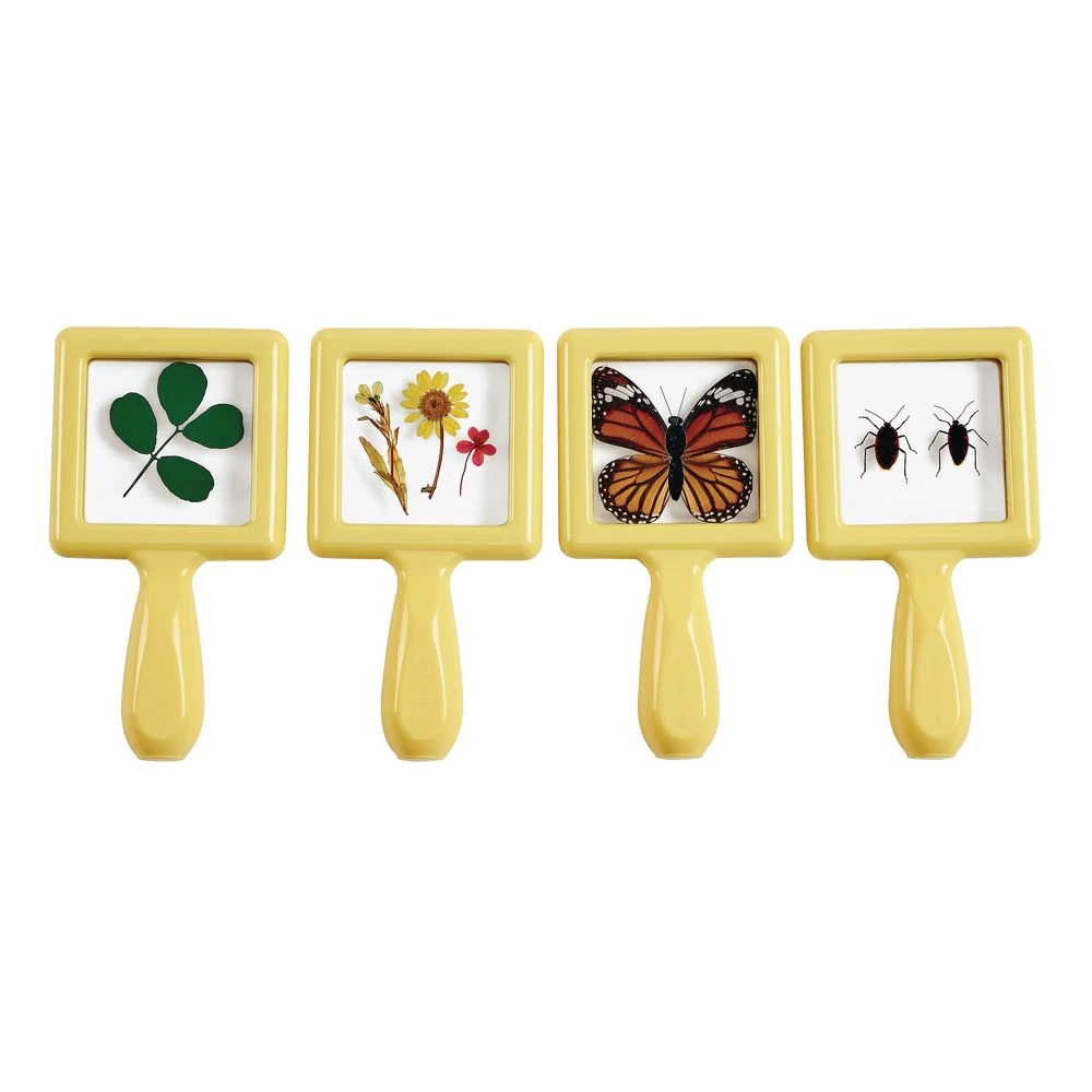 Excellerations® EarlySTEM™ Toddler Specimen Viewers - Set Of 16 13 Excellerations® EarlySTEM™ Toddler Specimen Viewers - Set Of 16 - Image 13