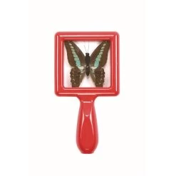 Excellerations® EarlySTEM™ Toddler Specimen Viewers - Set Of 16 33 Excellerations® EarlySTEM™ Toddler Specimen Viewers - Set Of 16 -Children School Supplies S631520 12