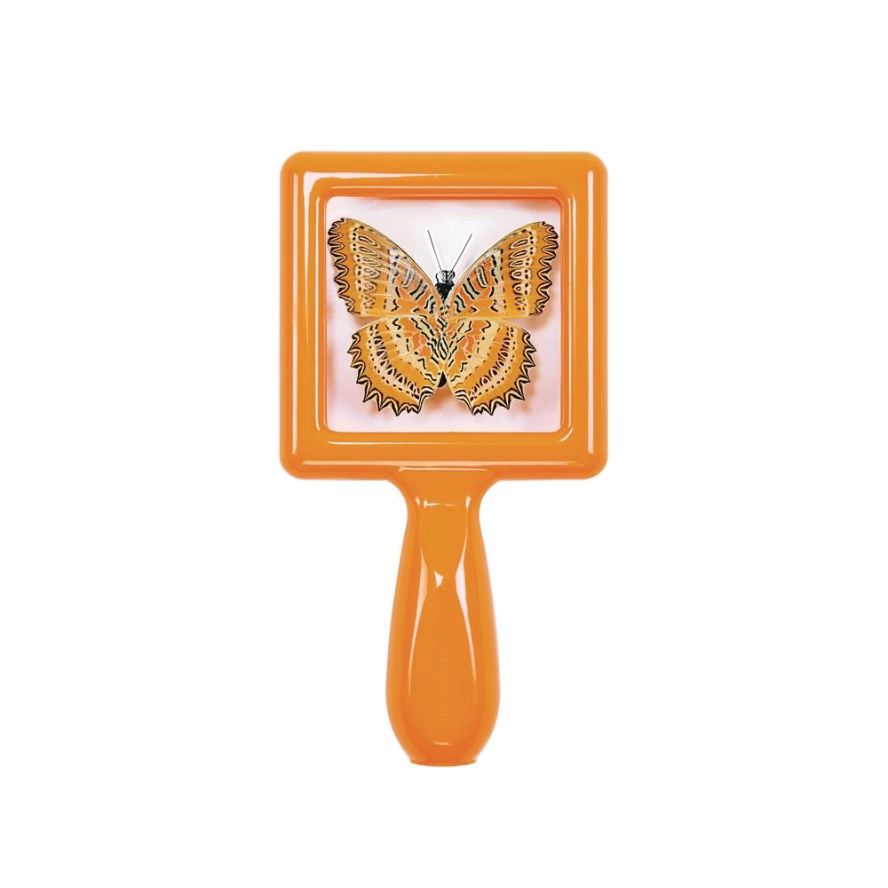 Excellerations® EarlySTEM™ Toddler Specimen Viewers - Set Of 16 18 Excellerations® EarlySTEM™ Toddler Specimen Viewers - Set Of 16 - Image 18