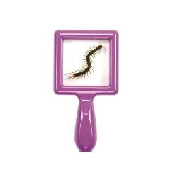 Excellerations® EarlySTEM™ Toddler Specimen Viewers - Set Of 16 39 Excellerations® EarlySTEM™ Toddler Specimen Viewers - Set Of 16 -Children School Supplies S631520 18