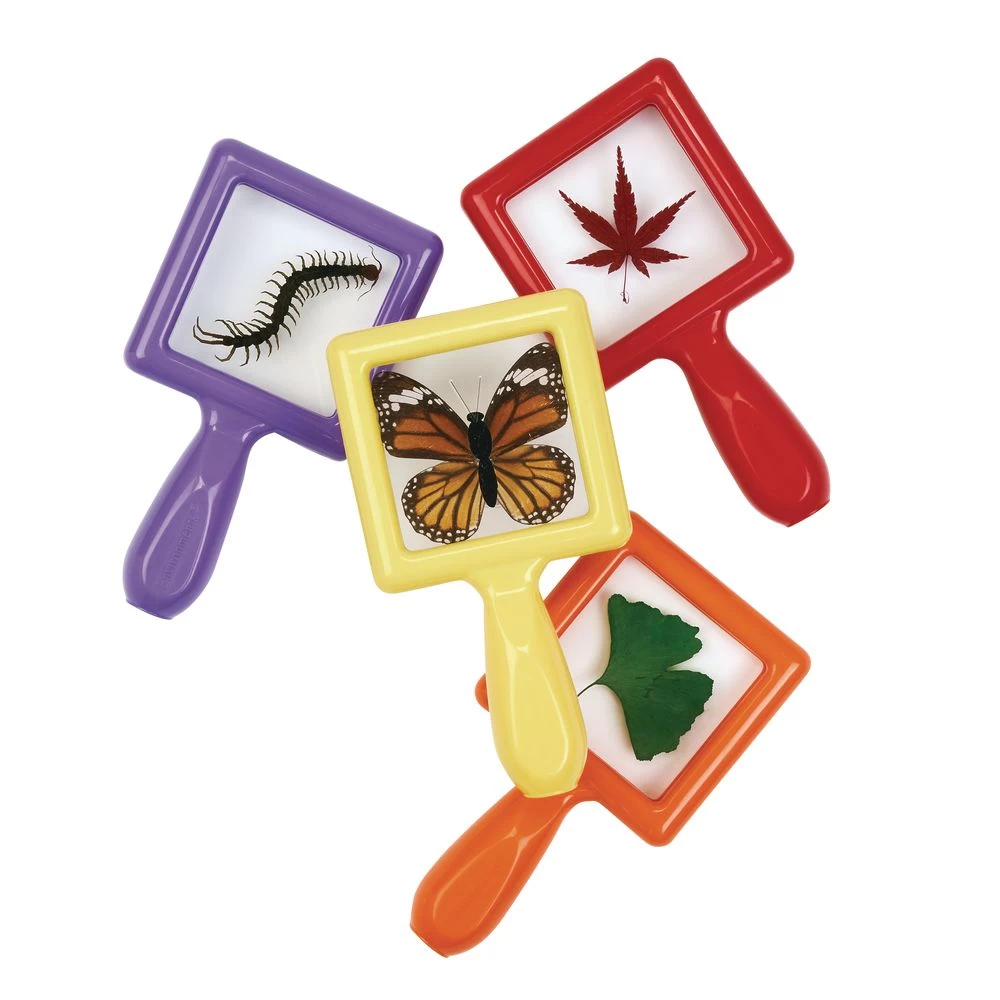 Excellerations® EarlySTEM™ Toddler Specimen Viewers - Set Of 16 5 Excellerations® EarlySTEM™ Toddler Specimen Viewers - Set Of 16 - Image 5