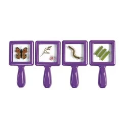 Excellerations® EarlySTEM™ Toddler Specimen Viewers - Set Of 16 29 Excellerations® EarlySTEM™ Toddler Specimen Viewers - Set Of 16 -Children School Supplies S631520 8