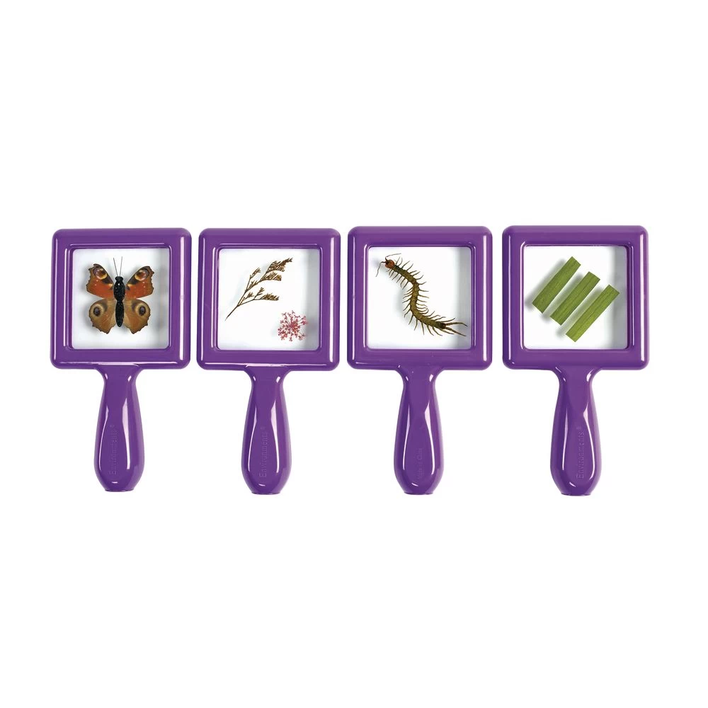 Excellerations® EarlySTEM™ Toddler Specimen Viewers - Set Of 16 10 Excellerations® EarlySTEM™ Toddler Specimen Viewers - Set Of 16 - Image 10