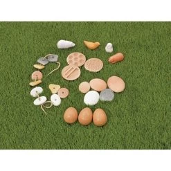 Excellerations® Infant & Toddler Sensory Kit -Children School Supplies S650606 1