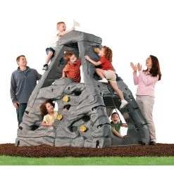 Step2 Skyward Summit Climber