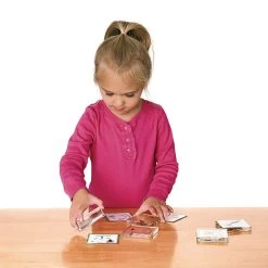 Excellerations® Insect Life Cycle Specimens - Set Of 5 -Children School Supplies S684219 2