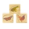 Excellerations® EarlySTEM™ Life Cycles Nesting Puzzles - Set Of 3