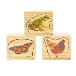 Excellerations® EarlySTEM™ Life Cycles Nesting Puzzles - Set Of 3