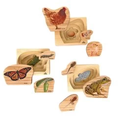 Excellerations® EarlySTEM™ Life Cycles Nesting Puzzles - Set Of 3 -Children School Supplies S685350 1