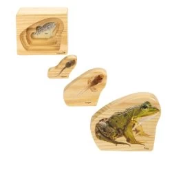 Excellerations® EarlySTEM™ Life Cycles Nesting Puzzles - Set Of 3 -Children School Supplies S685350 2