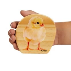 Excellerations® EarlySTEM™ Life Cycles Nesting Puzzles - Set Of 3 -Children School Supplies S685350 3