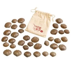 Tactile Shells For Sensory Exploration - 36 Pcs