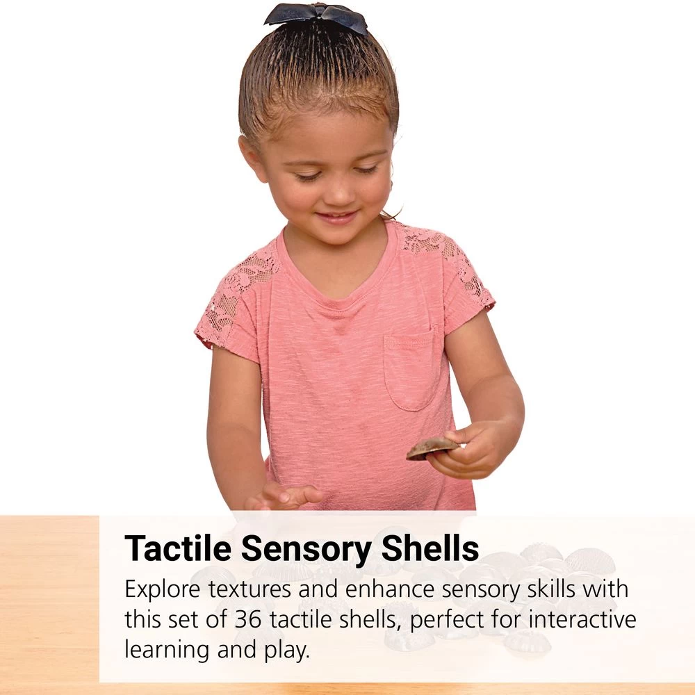 Tactile Shells For Sensory Exploration - 36 Pcs 2 Tactile Shells For Sensory Exploration - 36 Pcs - Image 2