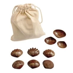 Tactile Shells For Sensory Exploration - 36 Pcs 6 Tactile Shells For Sensory Exploration - 36 Pcs -Children School Supplies S686266 1