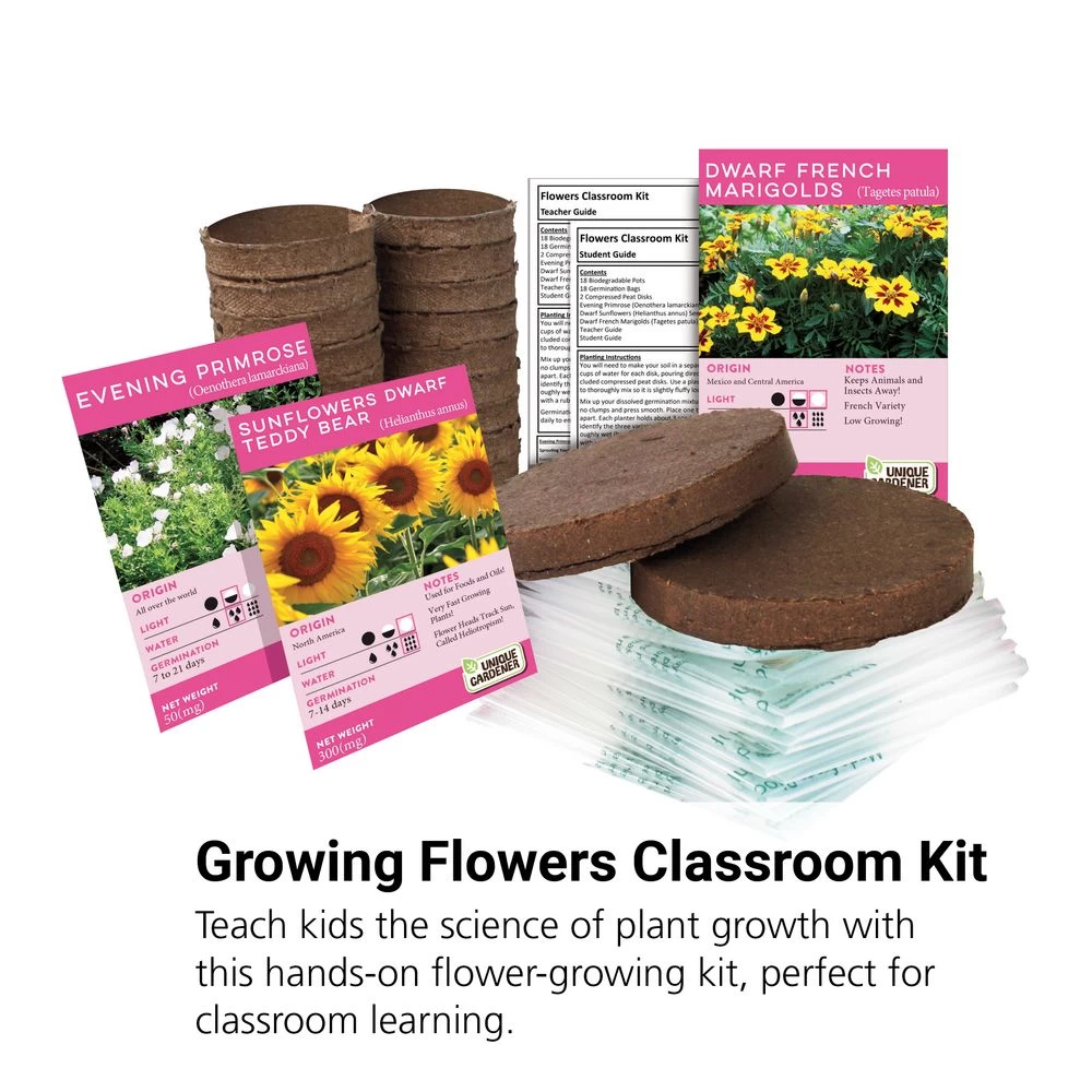 Growing Flowers Classroom Kit 2 Growing Flowers Classroom Kit - Image 2