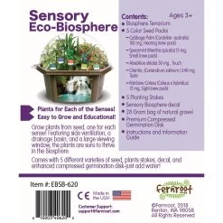 Sensory Eco-Biosphere -Children School Supplies S687711 1