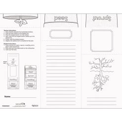 Build Your Own Flip Books? - Life Cycle Of A Plant -Children School Supplies S710621 1