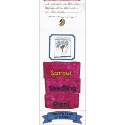 Build Your Own Flip Books? - Life Cycle Of A Plant -Children School Supplies S710621 3