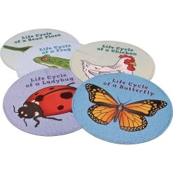 Really Good Stuff® Life Cycle Puzzles -Children School Supplies S710658 2