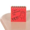Really Good Stuff® The Power Of Yet! Mini Flip Charts